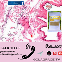 22967546677 rdjima689 gmail com 3 