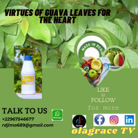 22967546677 rdjima689 gmail com 8 