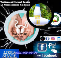 22967546677 rdjimaa689 gmail com