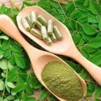 Benefit of moringa for liver