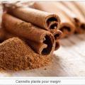 Cannelle pour maigrir