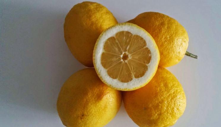 Citron pour maigrir