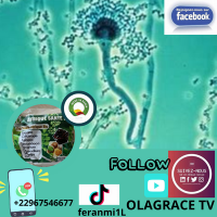 Creme bio anti cancer du sein 3 