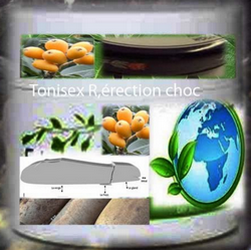 Creme tonisex r erection choc copier copier 