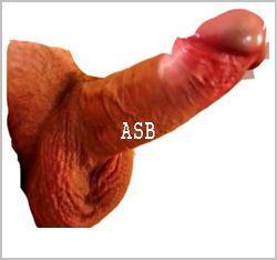 Erection forte 10