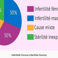 Infertilite homme femme