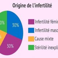 Infertilite origine