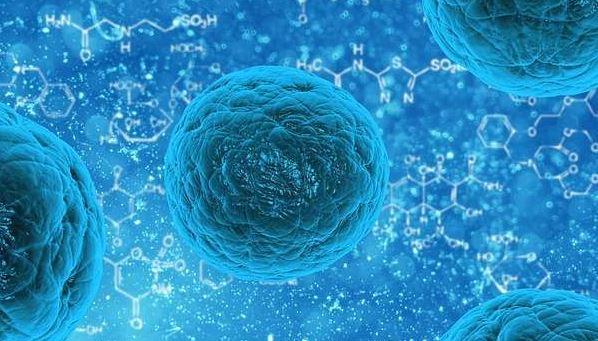 Mycoplasme infection