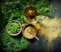 The Virtues of Moringa Against Hepatitis B in Congo