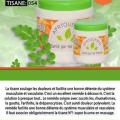 Tisane 054 copie copier 